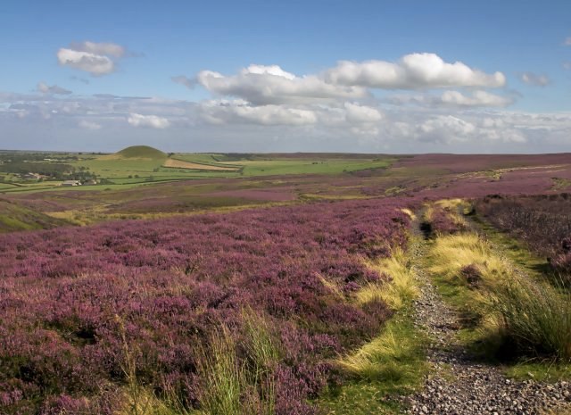 North York Moors National Park
