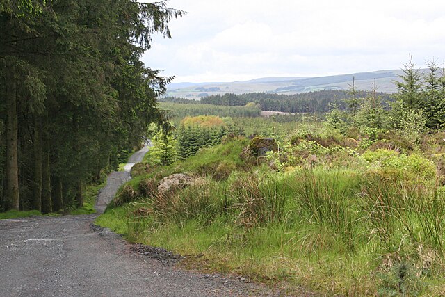 Davagh Forest