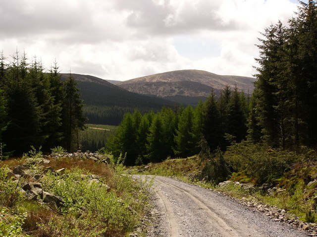 Galloway Forest Park