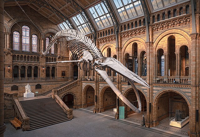 Natural History Museum