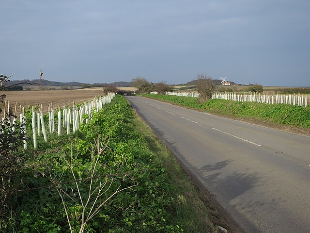 Norfolk Coast