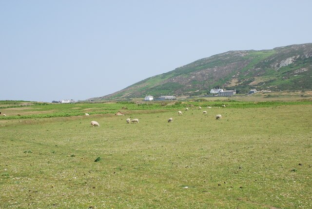 Ynys Enlli