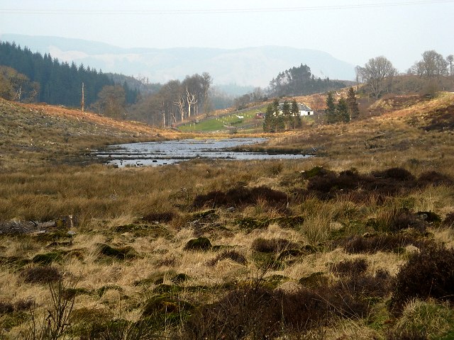 Loch Ard Forest