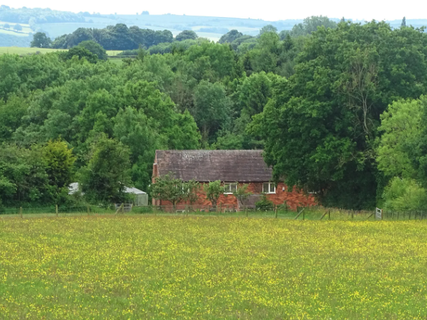Meadowfields